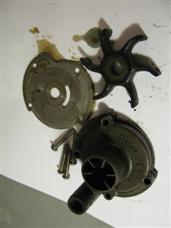 (image for) 1950s green Johnson 5.5 hp CD outboard 303335 water pump housing